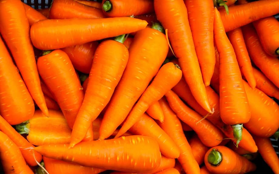 carota, Verdure Autunnali di Stagione